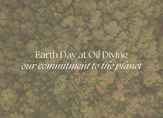 Honoring Nature Through Sustainable Choices