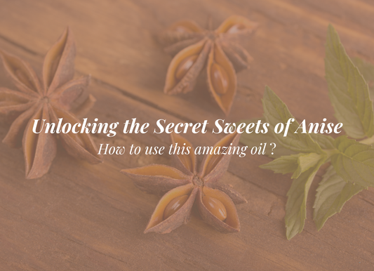 Anise Oil and Its Transformative Benefits