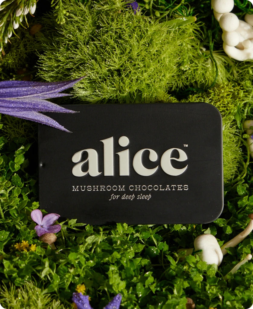 Nightcap Mushroom Chocolate