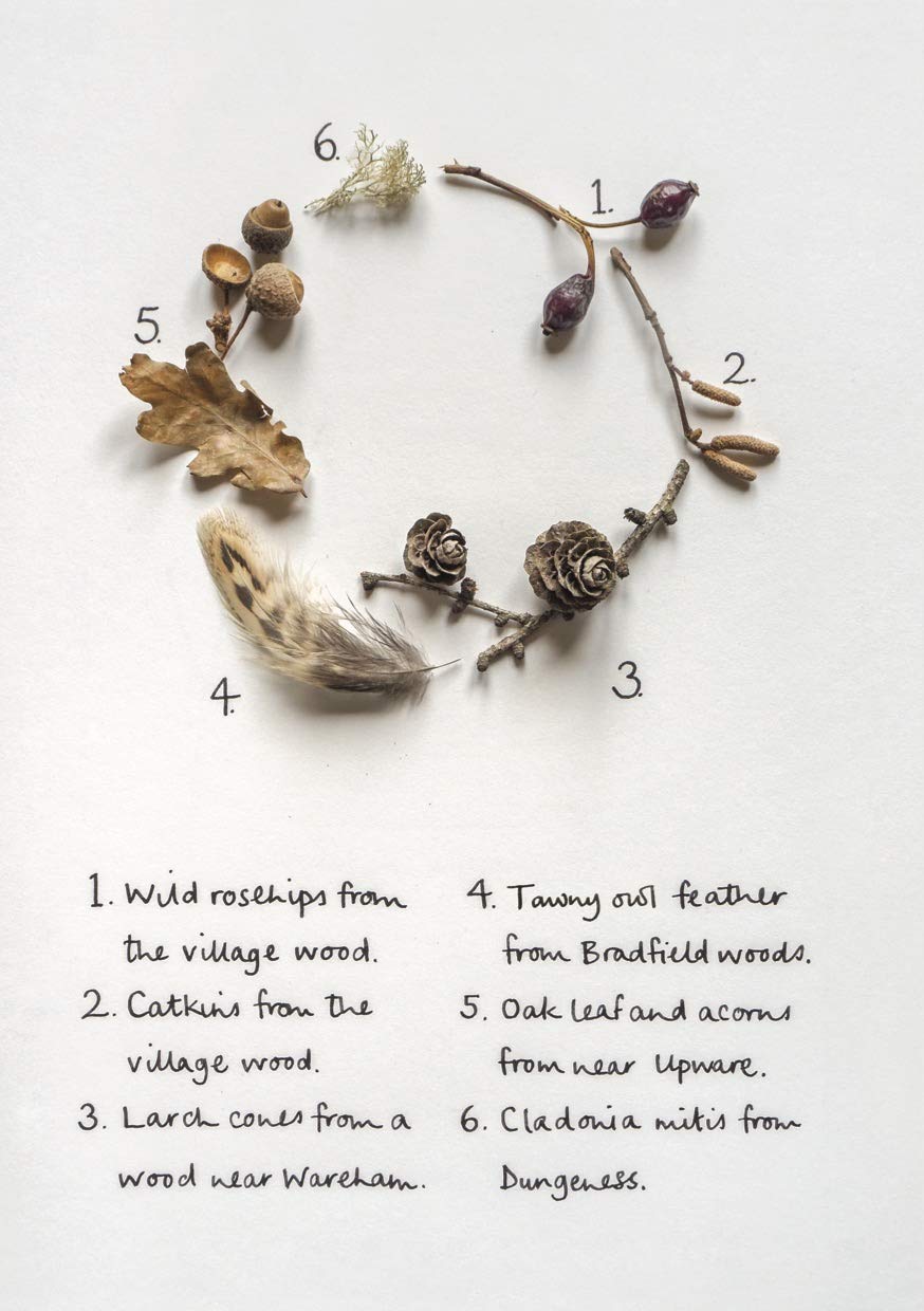 The Wild Remedy: How Nature Mends Us - A Diary