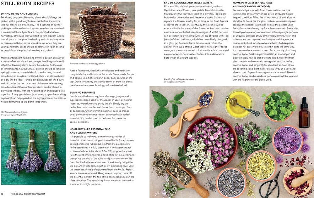 Paperback Book: The Essential Aromatherapy Garden