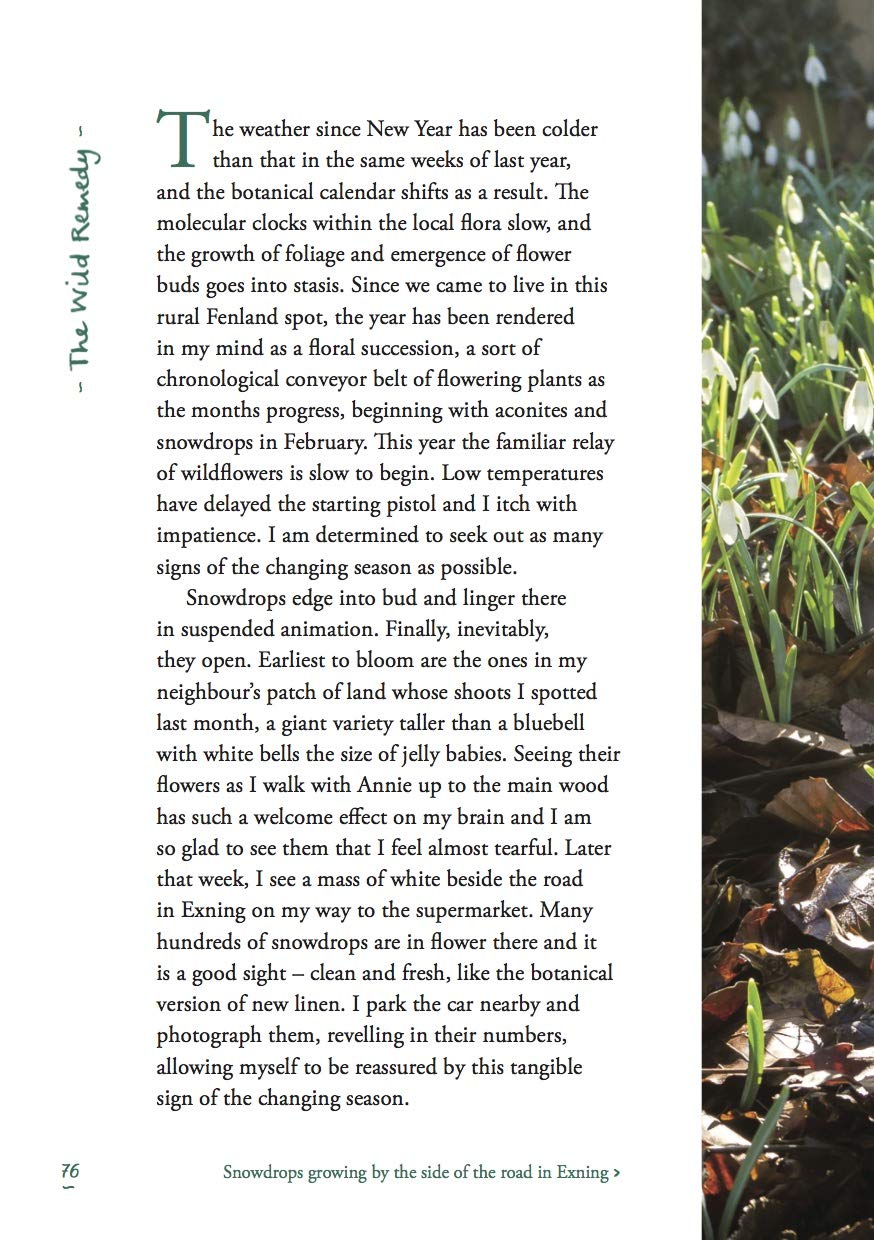 The Wild Remedy: How Nature Mends Us - A Diary