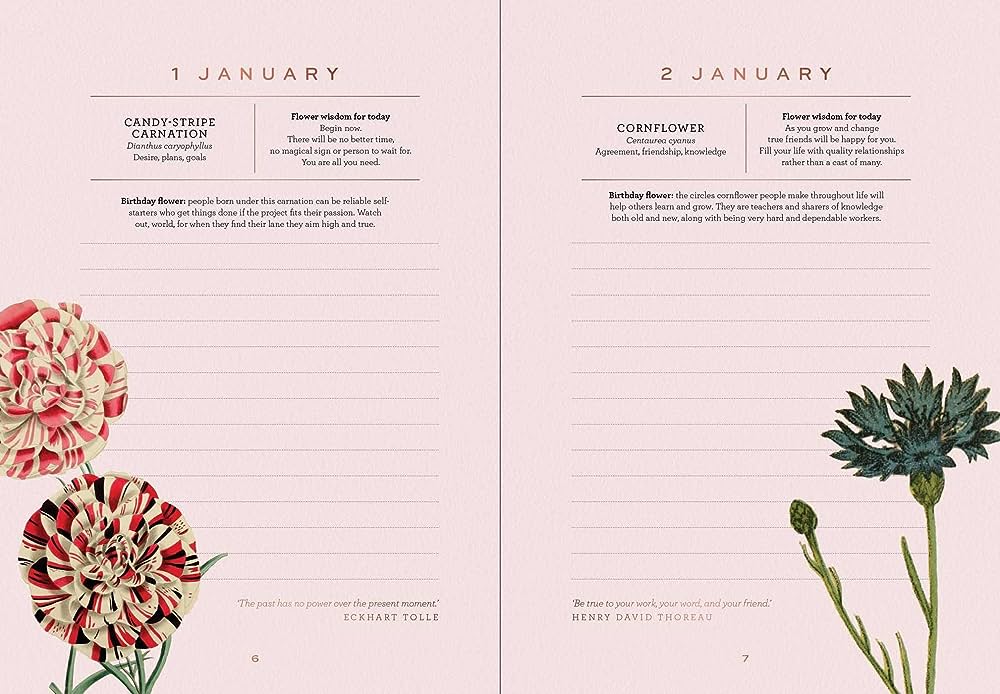 Flexibound Book: A Year of Flowers