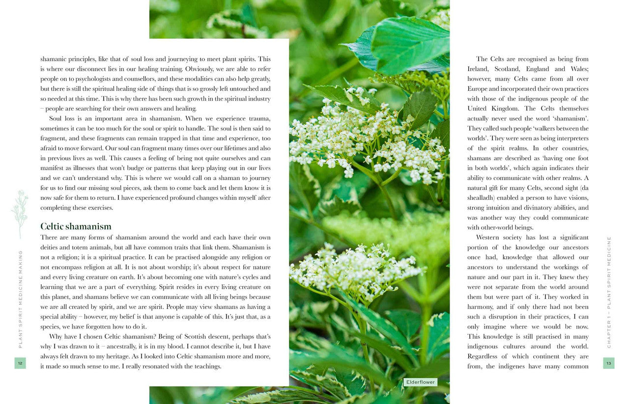 Hardcover Book: Plant Spirit Medicine - A Guide to Making Healing Products From Nature