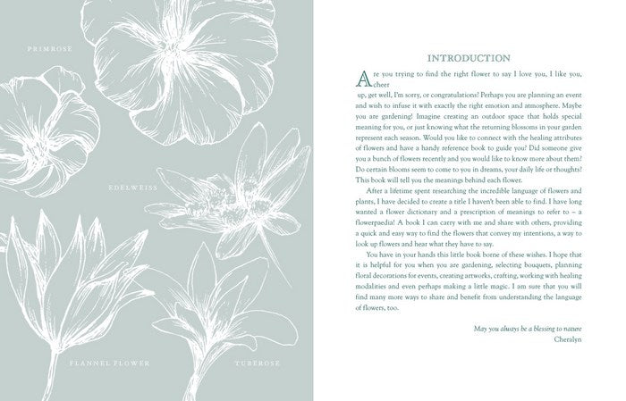 Paperback Book: Flowerpaedia