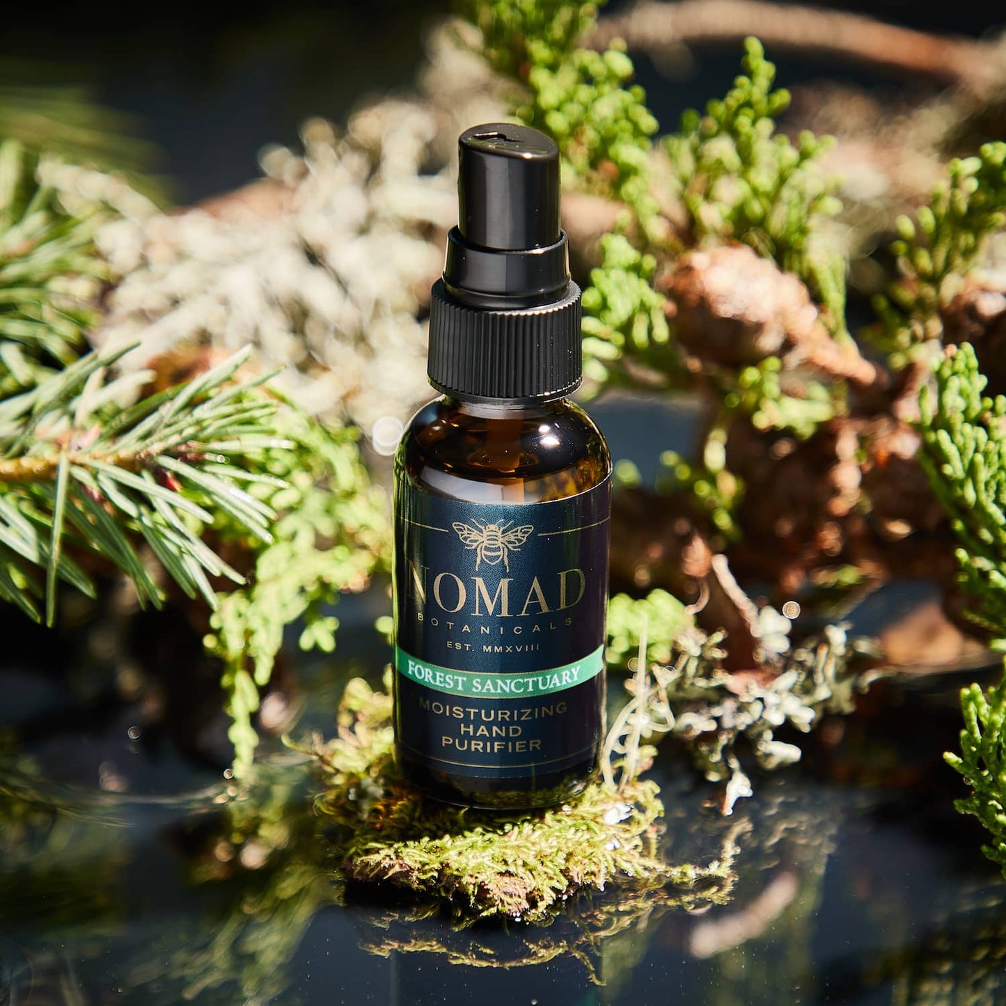 Moisturizing Hand Purifier: Forest Sanctuary