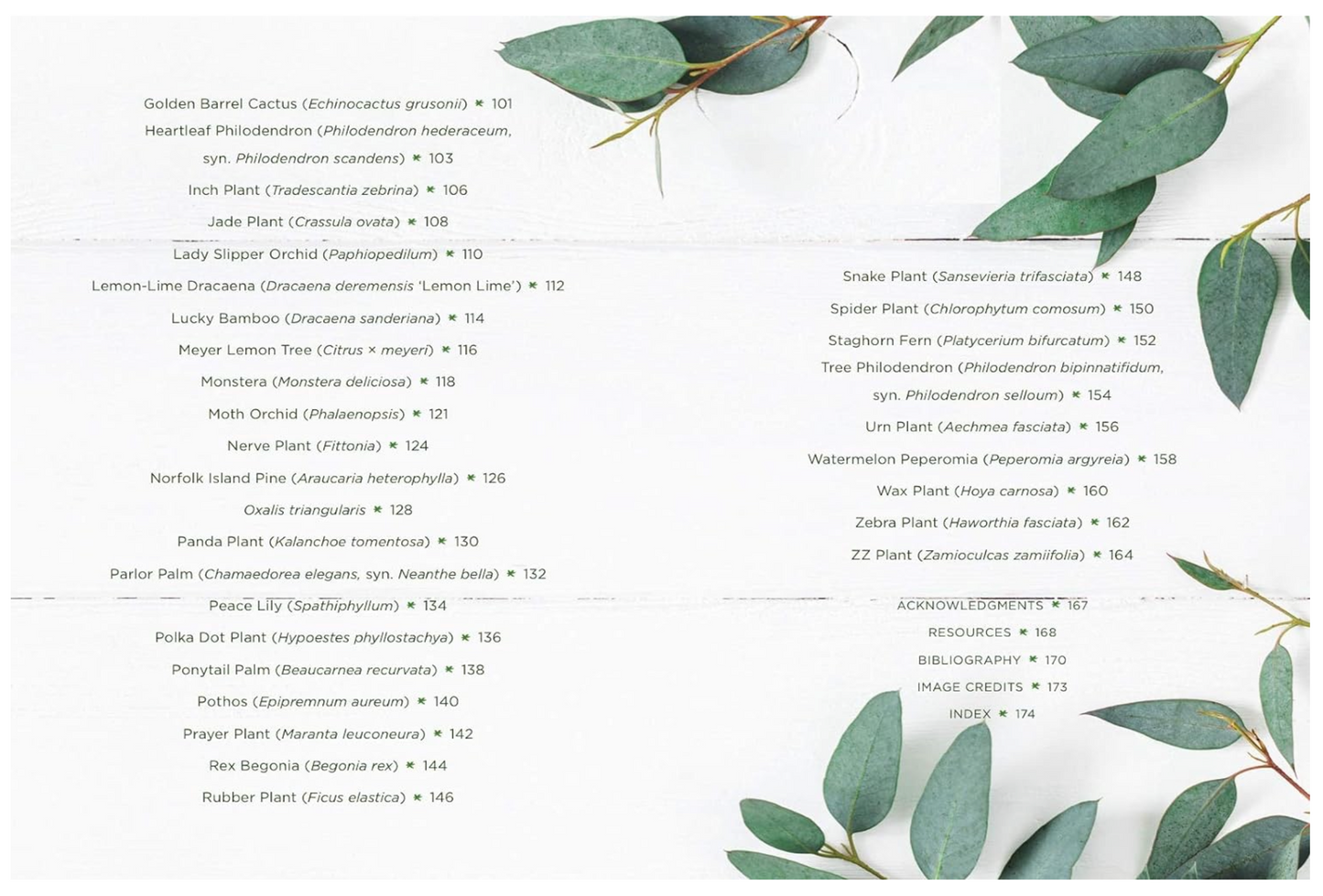 Hardcover Book: How to House-Plants - A Beginner's Guide to Making and Keeping Plant Friends