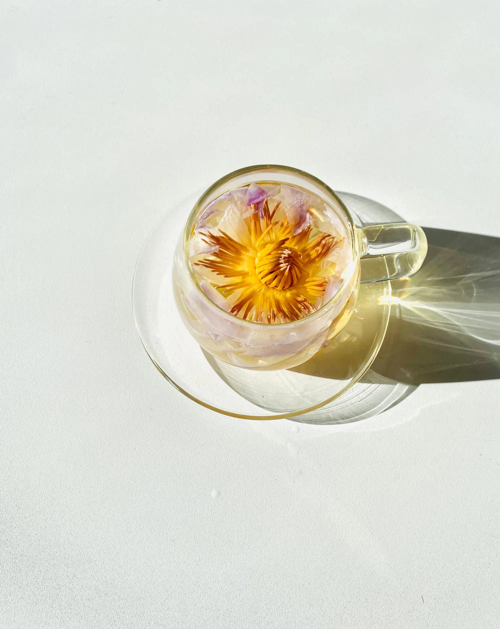 Glass Cup & Saucer Set (Set of 1)