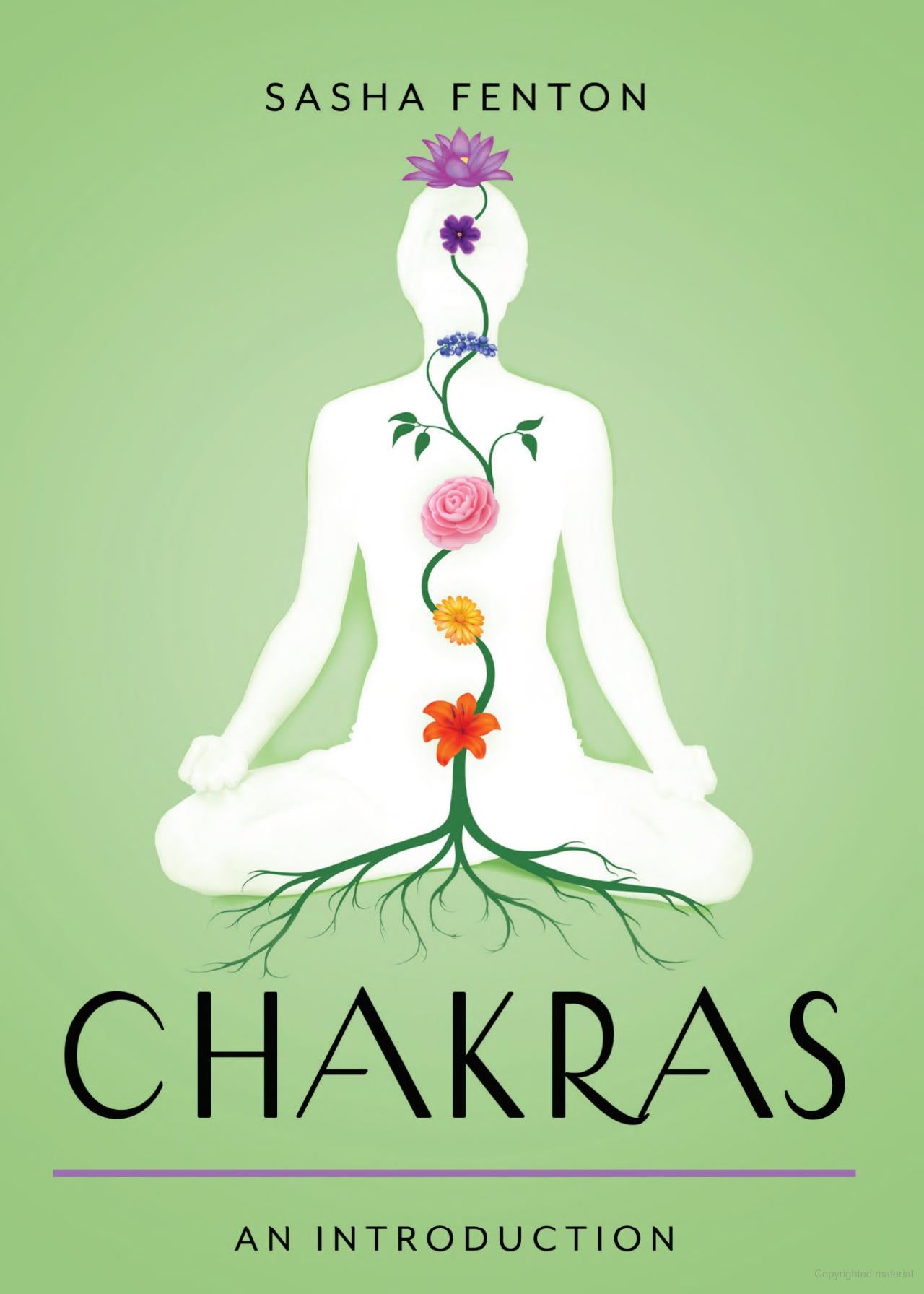 Paperback Book: Chakras