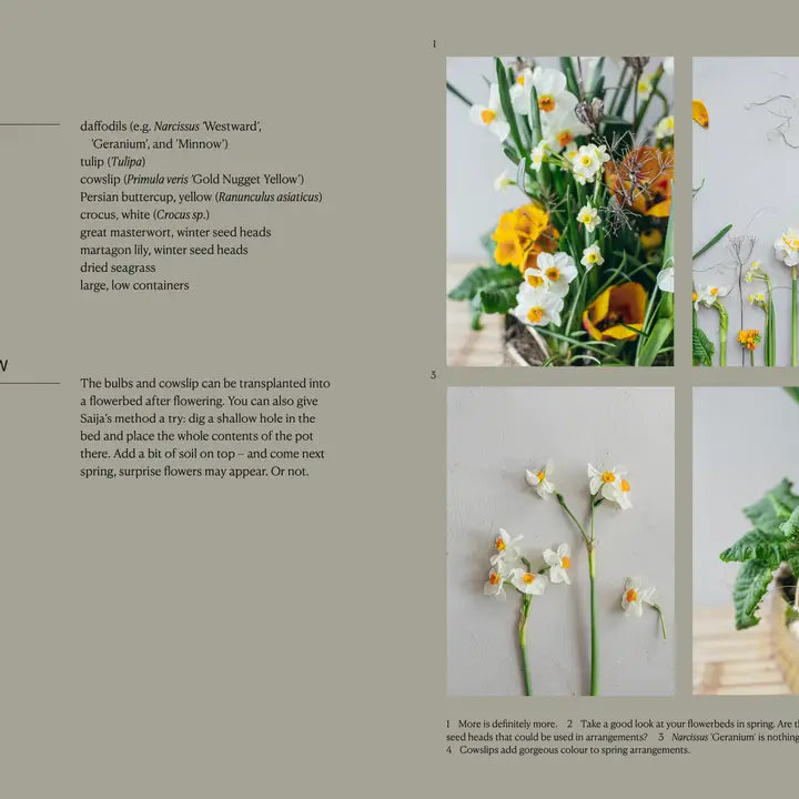 Hardcover Book: The Potted Garden All Year Round