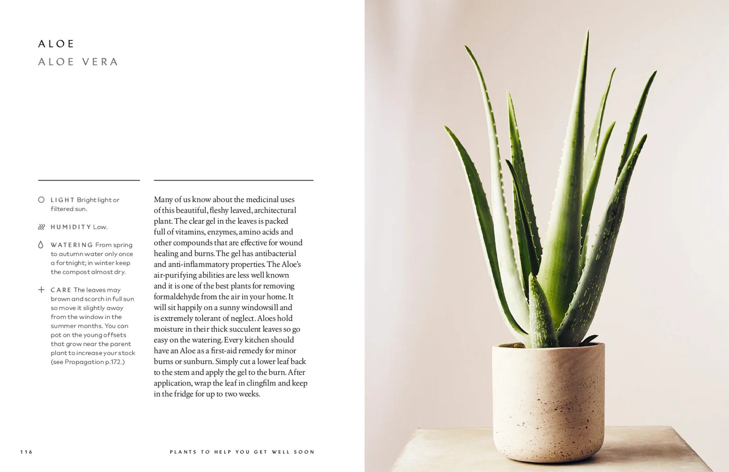 Hardcover Book: The Healing Power of Plants - The Hero Houseplants That Will Love You Back
