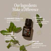 Peppermint Essential Oil