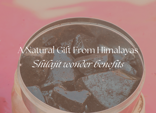 The Wonders of Shilajit