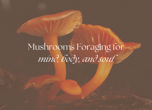 Celebrating Foraging Season