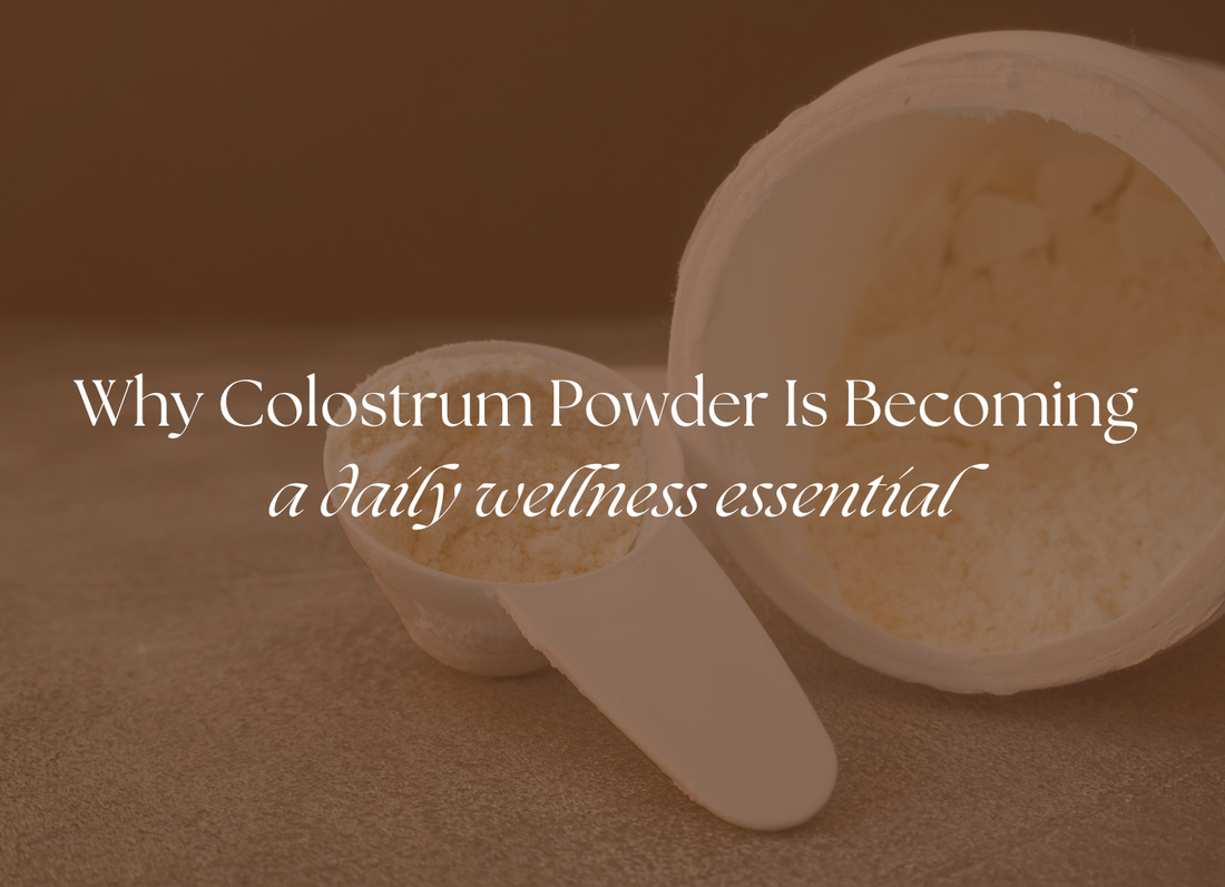 Grass-Fed Colostrum Powder Benefits