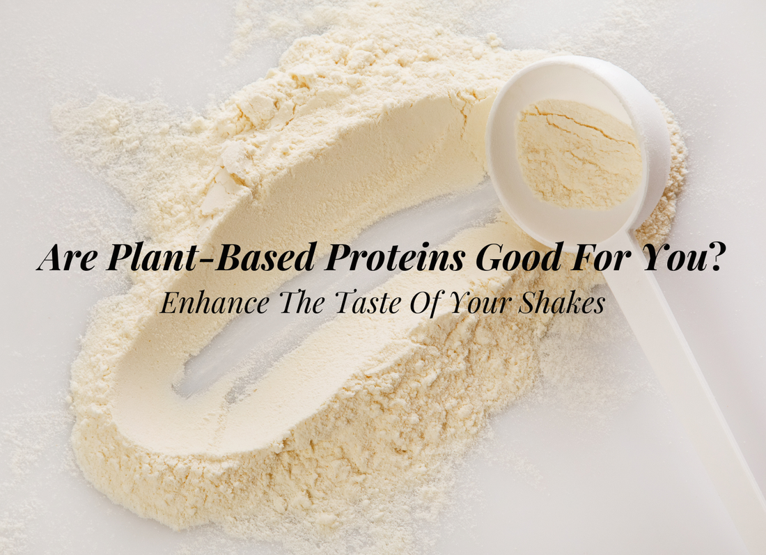 Exploring Plant-Based Protein Drinks
