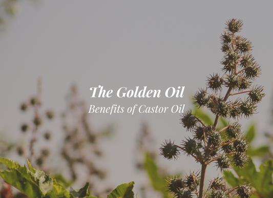The Fuss About Castor Oil - Is This Oil Really Unique?