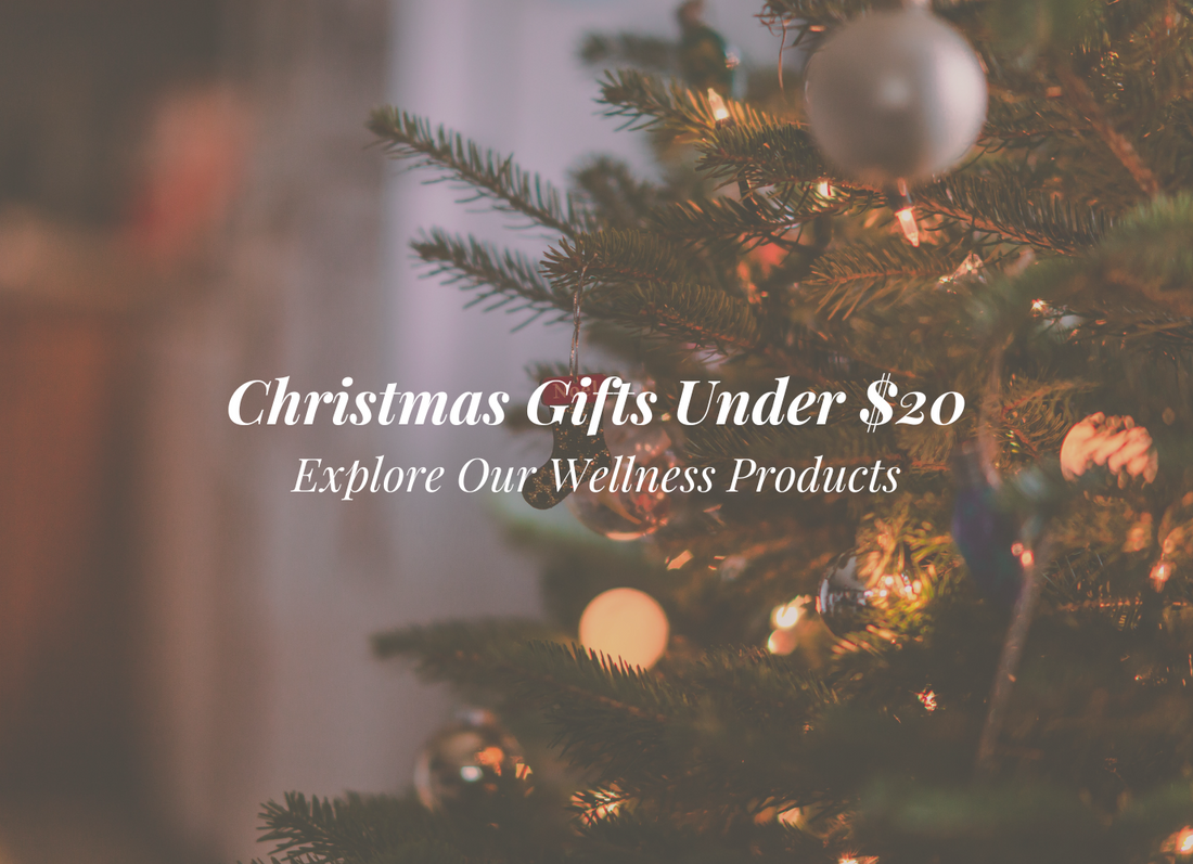 Christmas Gifts Within Budget