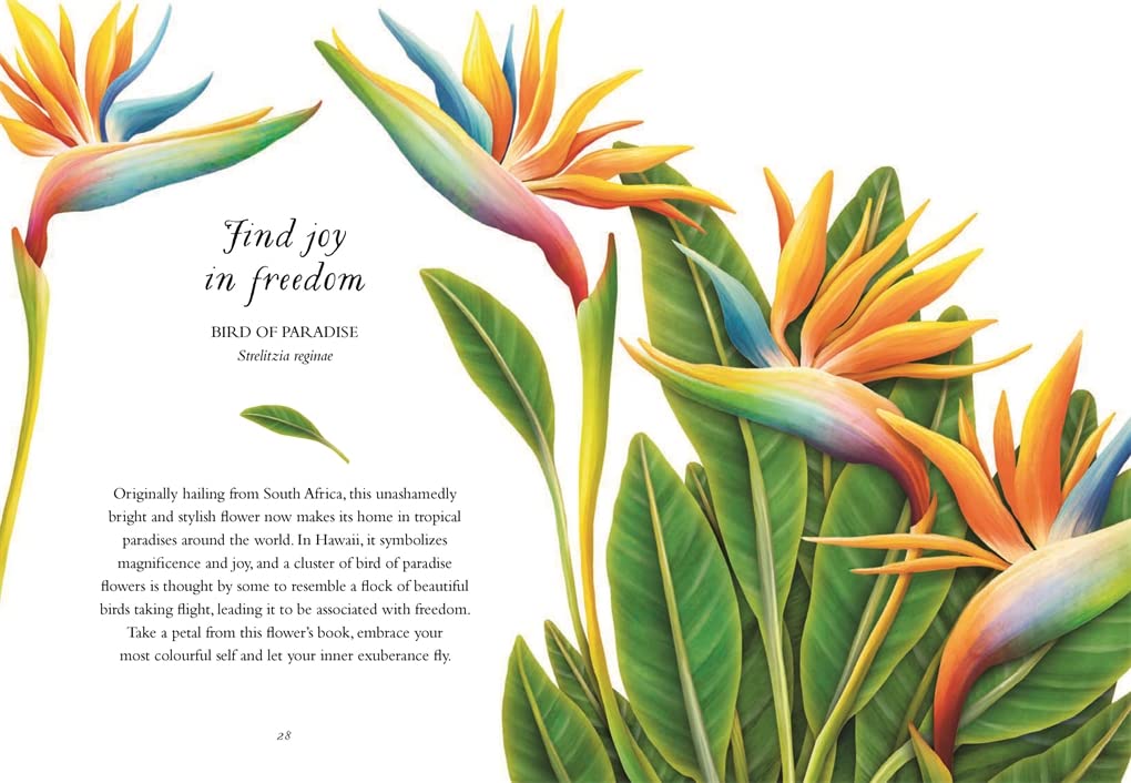 The Wisdom of Flowers: Essential Life Lessons for Joy and Wellbeing