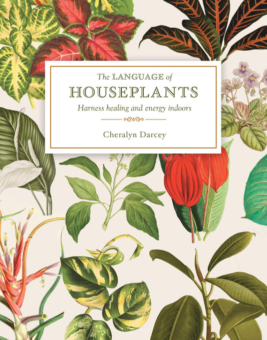 Paperback Book: The Language of Houseplants - Plants for Home and Healing