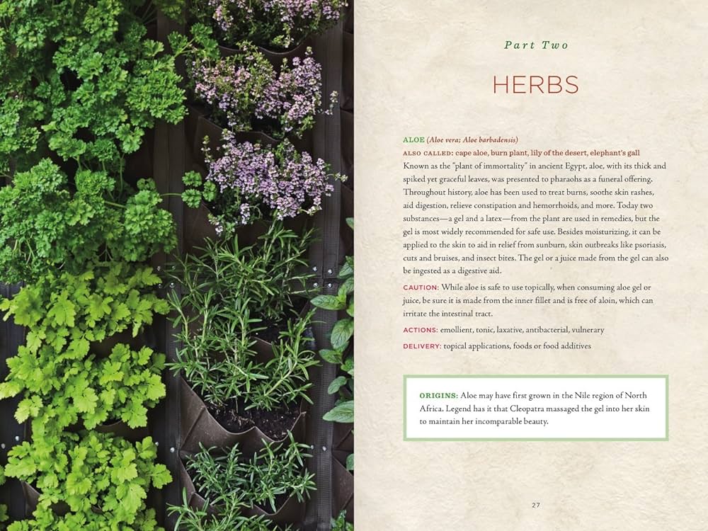 Paperback Book: Recipes for Natural Living - Healing Herbs Handbook