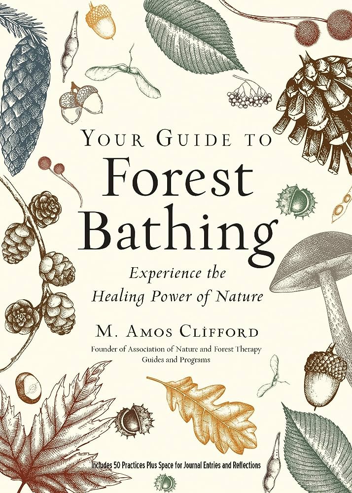 Paperback Book: Your Guide to Forest Bathing - Experience the Healing Power of Nature
