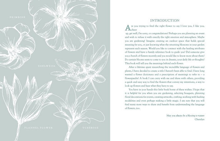 Paperback Book: Flowerpaedia - 1000 Flowers And Their Meanings