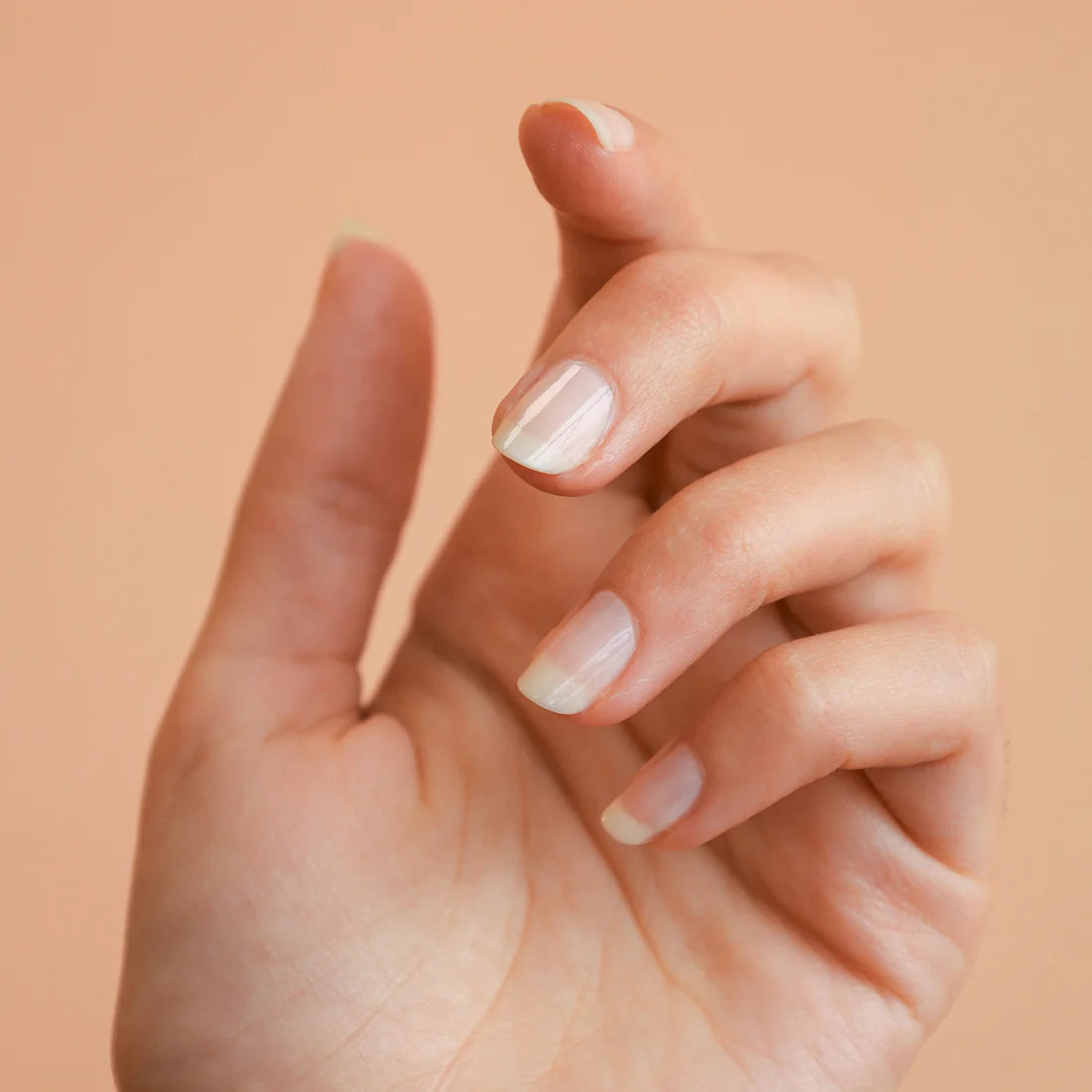 Nail Polish- French Beige