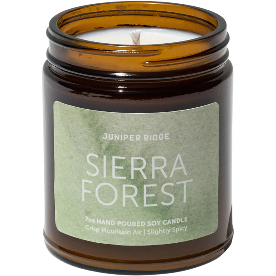 Sierra Forest Essential Oils Candle