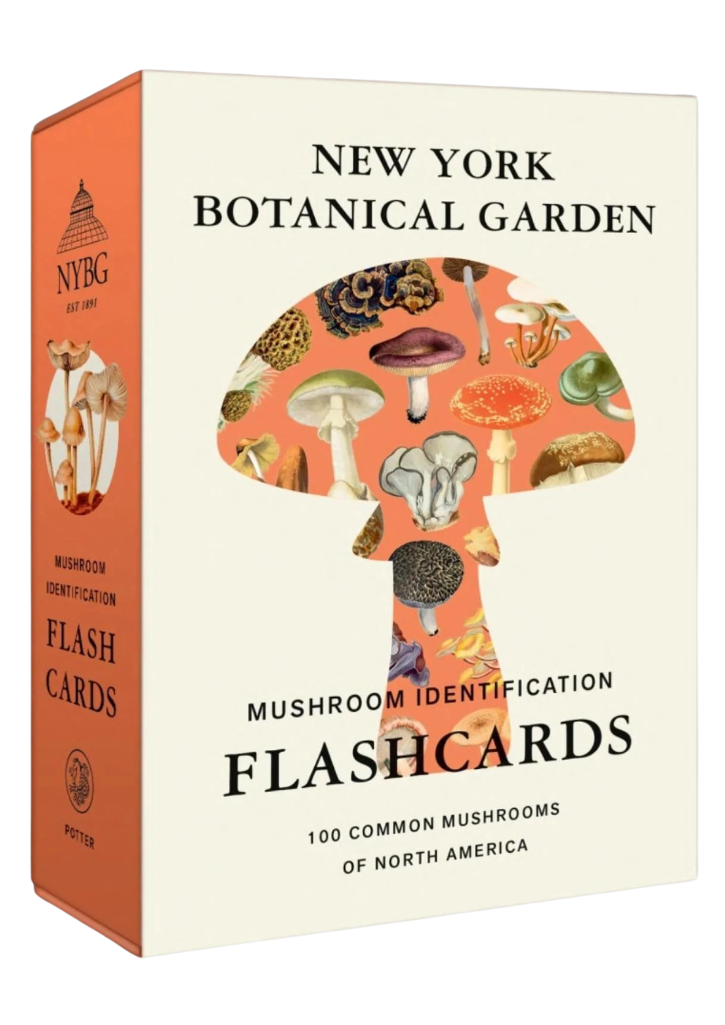 New York Botanical Garden Mushroom Identification Flashcards