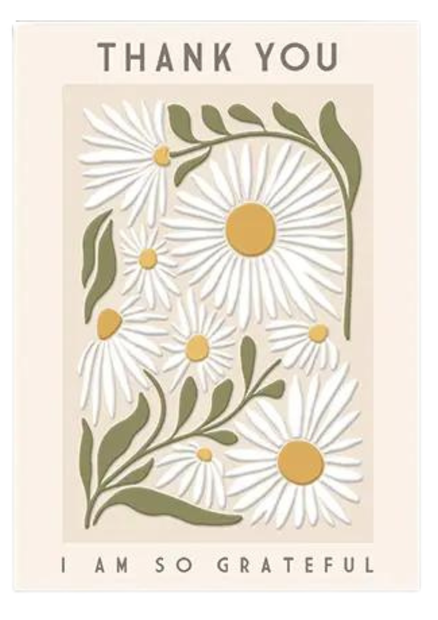 Greeting Card Daisy Flowers