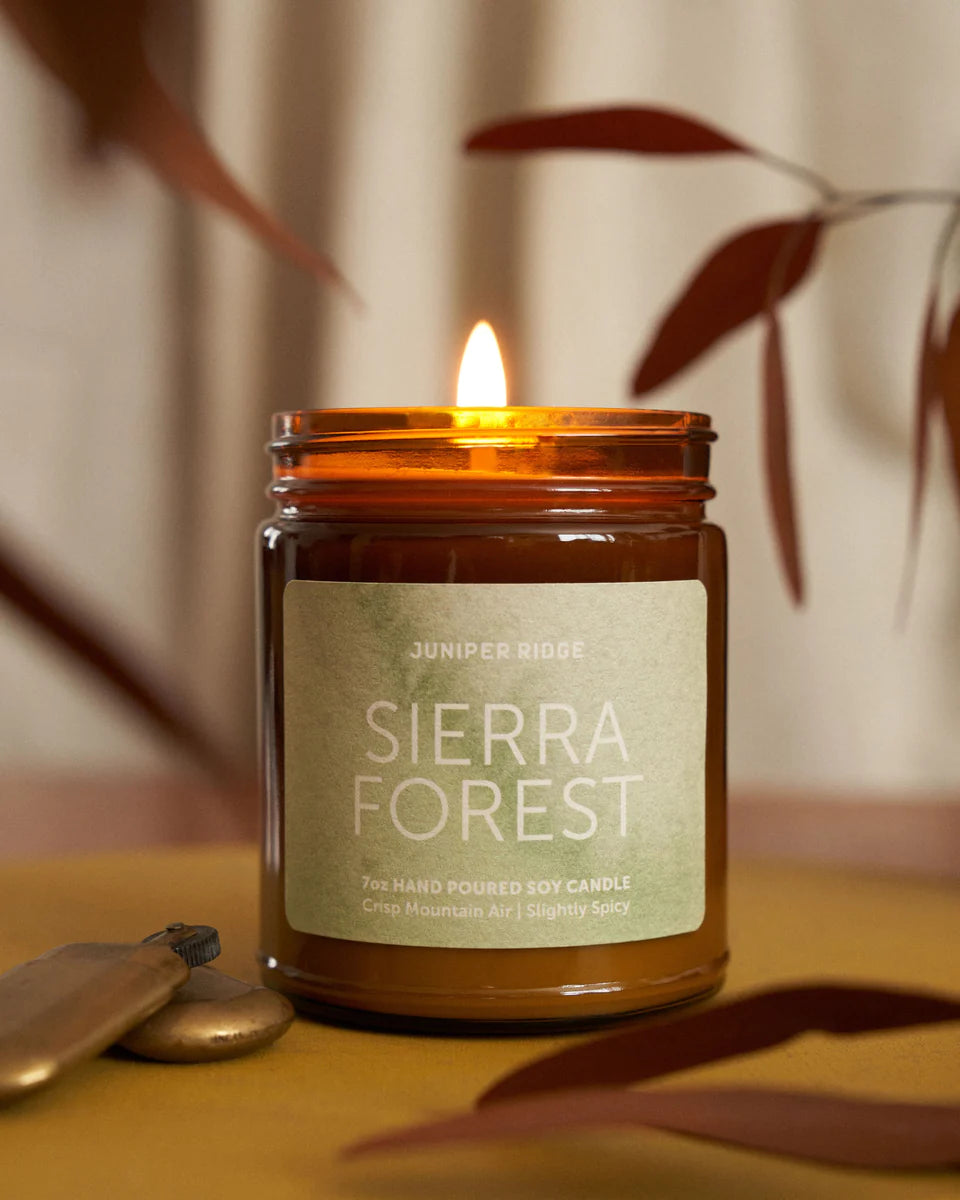 Sierra Forest Essential Oils Candle