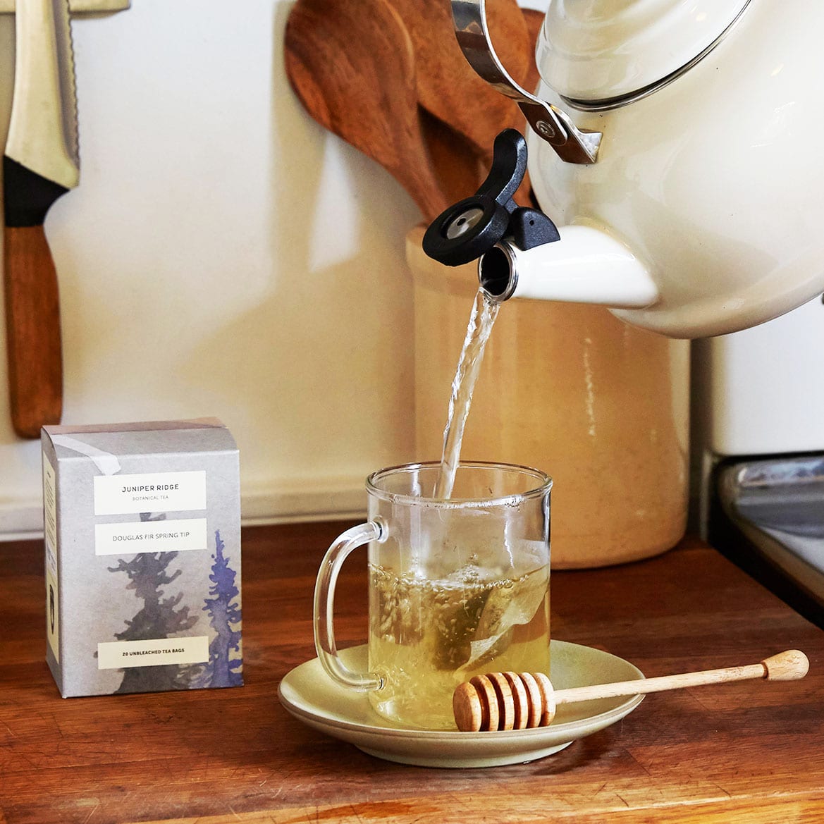 Fir Tea Douglas Fir & Spring Tip Botanical Tea – Oil Divine